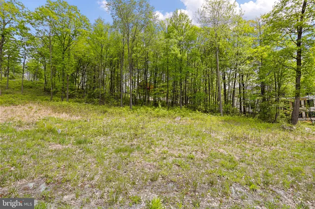 a view of backyard with green space