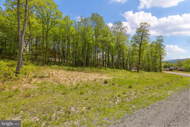 a view of outdoor space with trees all around