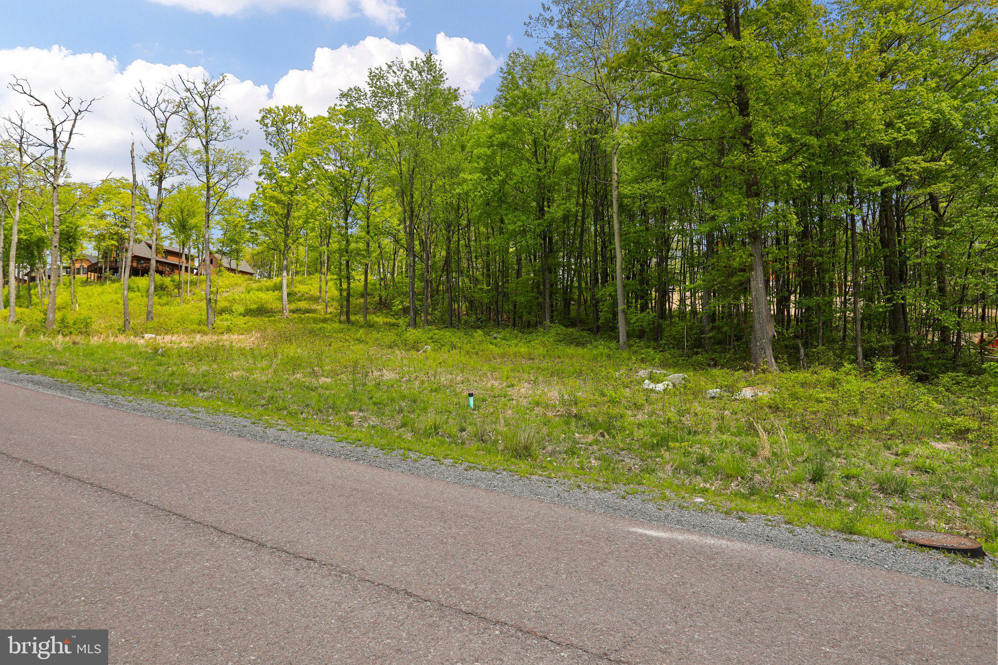 Lot 68 North Camp Road McHenry, MD 21541 - Photo 7 of 28 a backyard of a house with lots of green space and outdoor seating