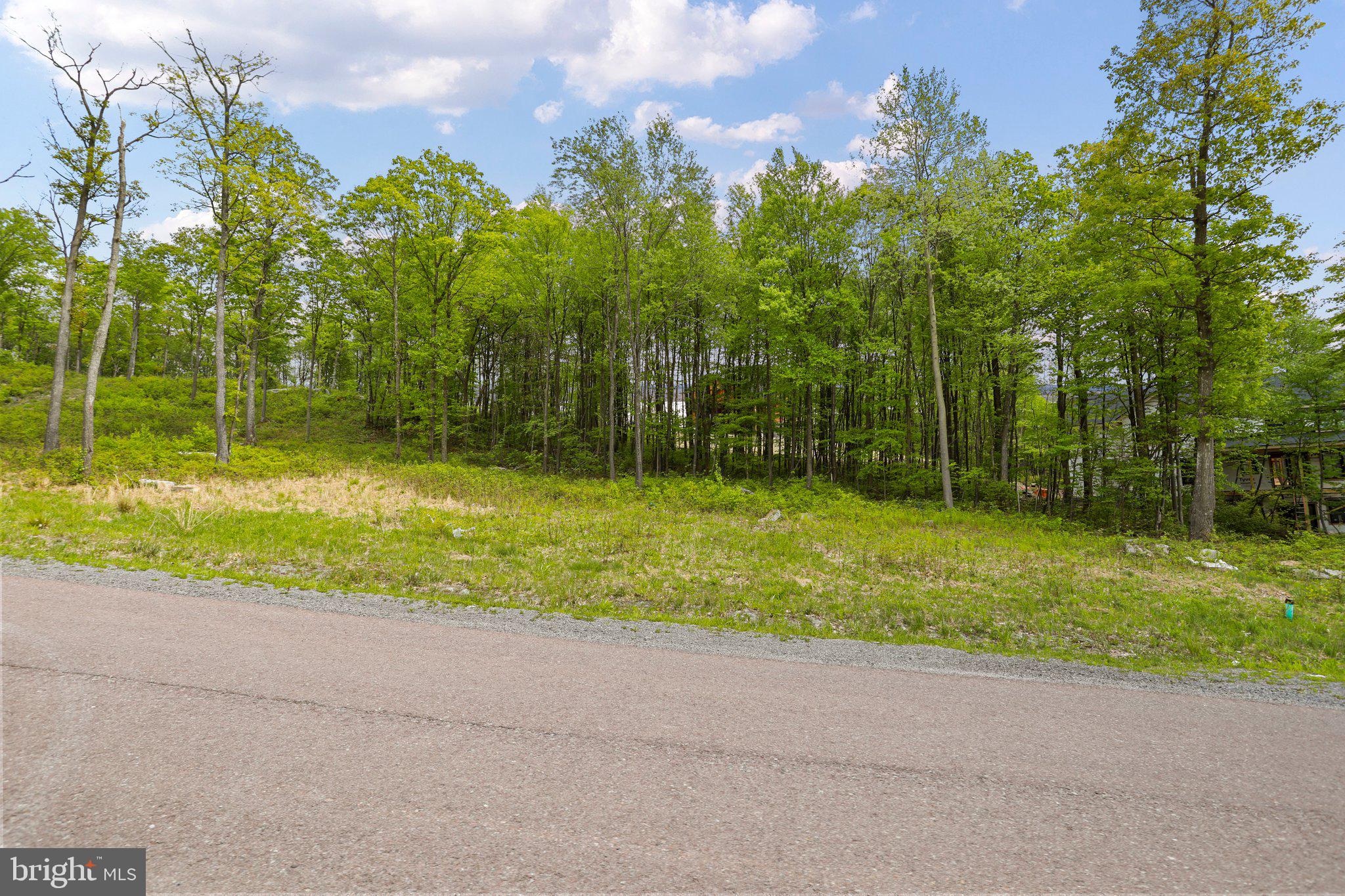 Lot 68 North Camp Road McHenry, MD 21541 - Photo 8 of 28 a view of outdoor space and yard