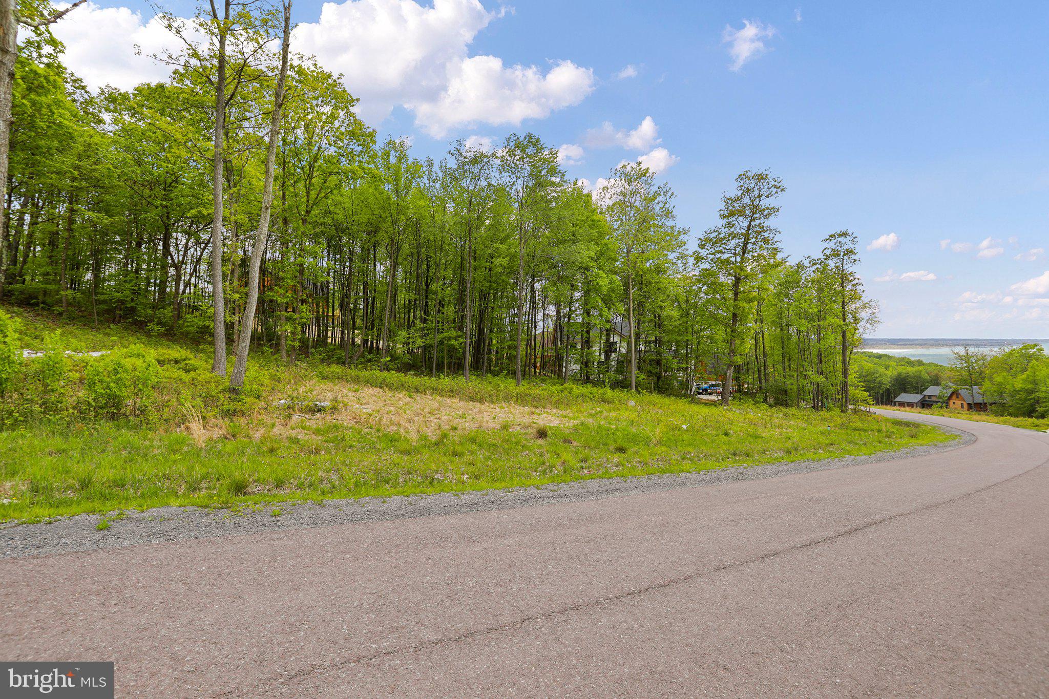 Lot 68 North Camp Road McHenry, MD 21541 - Photo 9 of 28 a view of outdoor space and yard