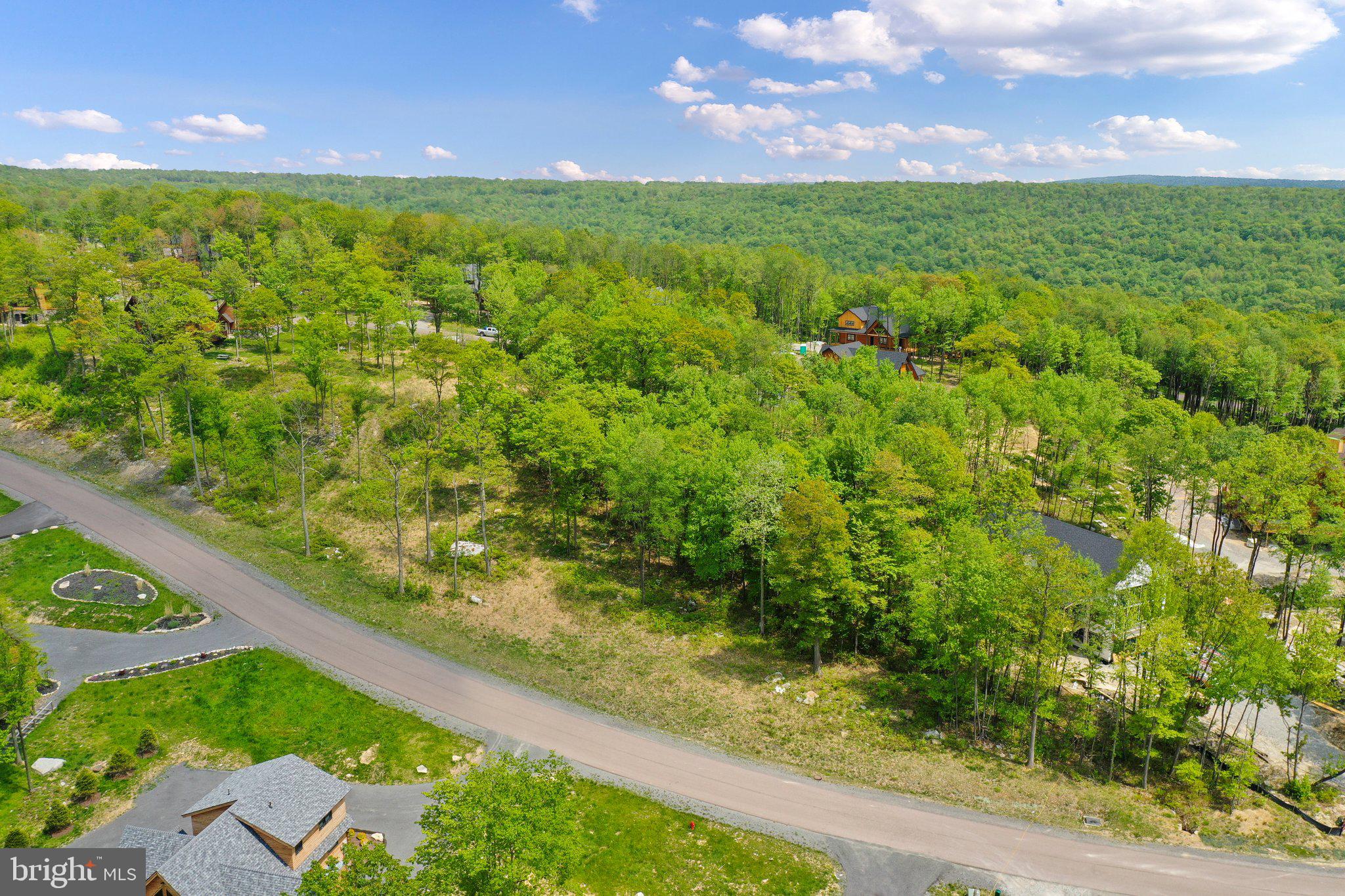Lot 68 North Camp Road McHenry, MD 21541 - Photo 10 of 28 a view of a yard with an outdoor space