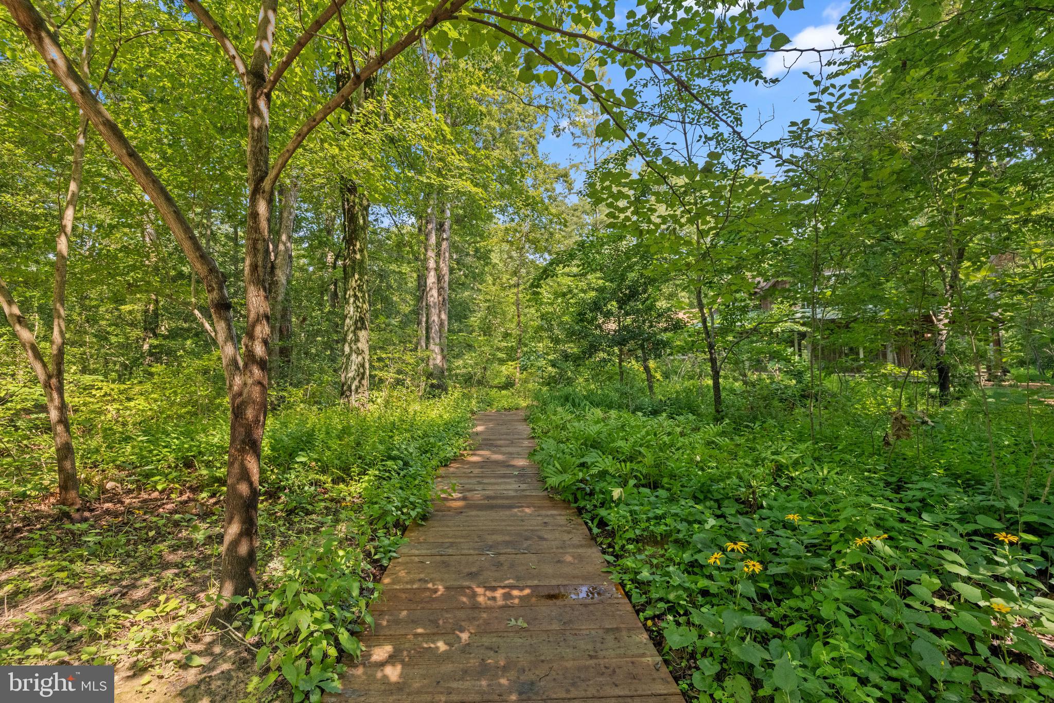225 Batts Neck Road Stevensville, MD 21666 - Photo 43 of 58