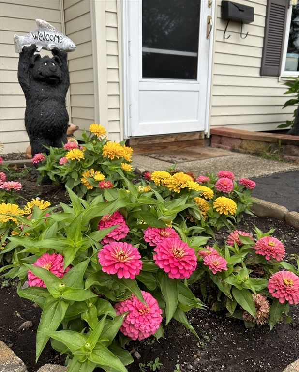21 Louise Road Holbrook, MA 02343 - Photo 4 of 21 Gallery Image 4