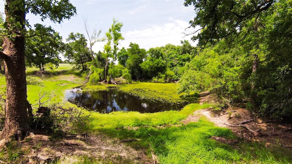 269 Balch Road Elgin, TX 78621 - Photo 26 of 39