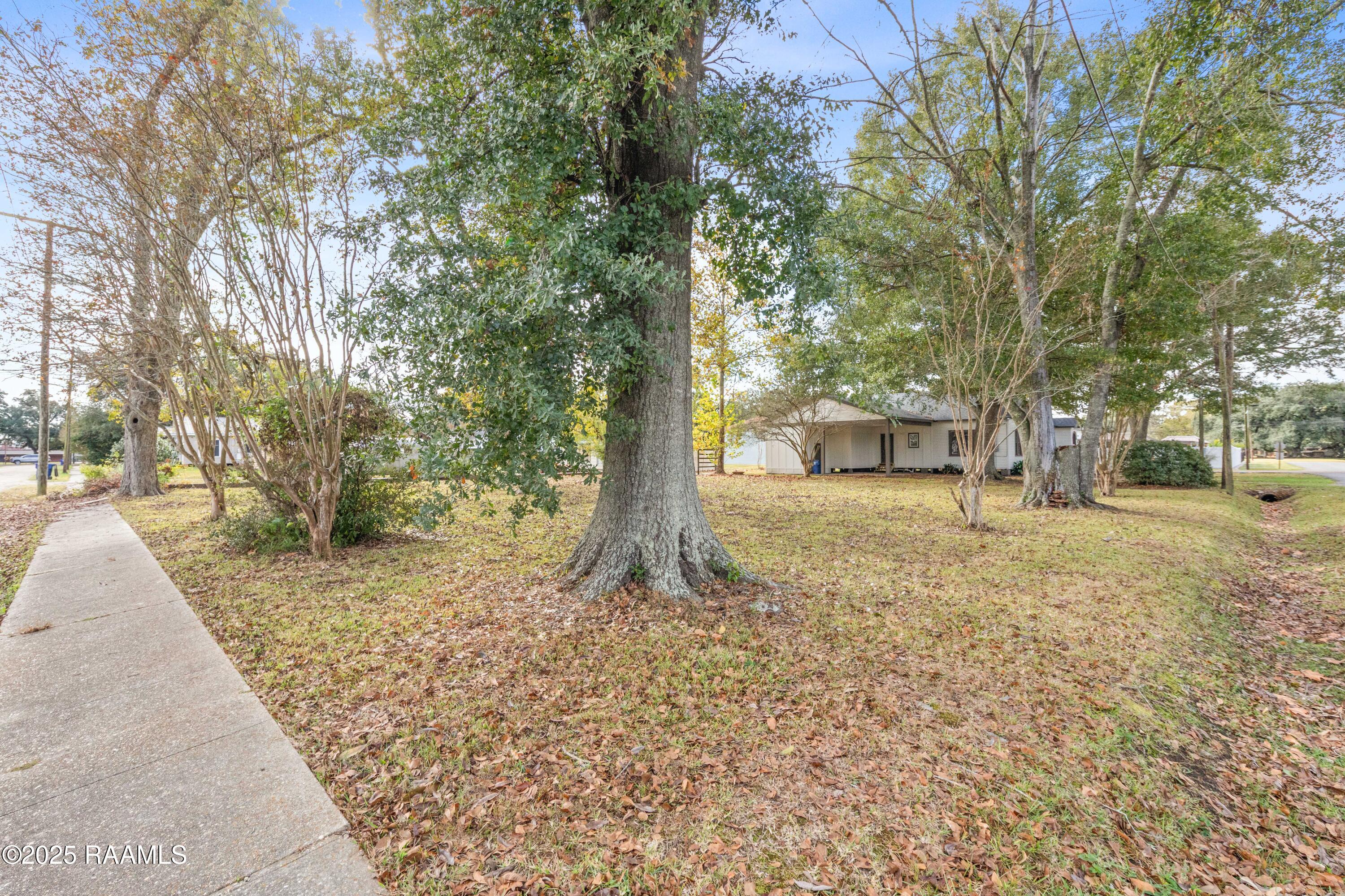 203 East Pioth Street Church Point, LA 70525 - Photo 33 of 42 203EPioth-102