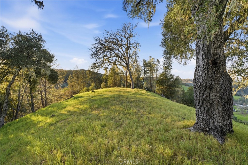 7190 Tres Vista Road Paso Robles, CA 93446 - Photo 50 of 75