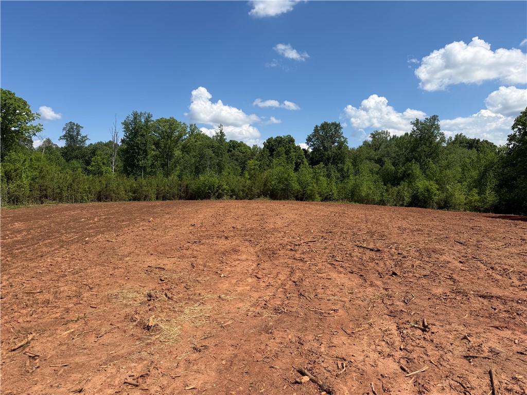 Lot 11 Pickens Drive Pendleton, SC 29670 - Photo 6 of 9 A cleared lot awaits your dream home, bordered by mature trees under a vast blue sky.