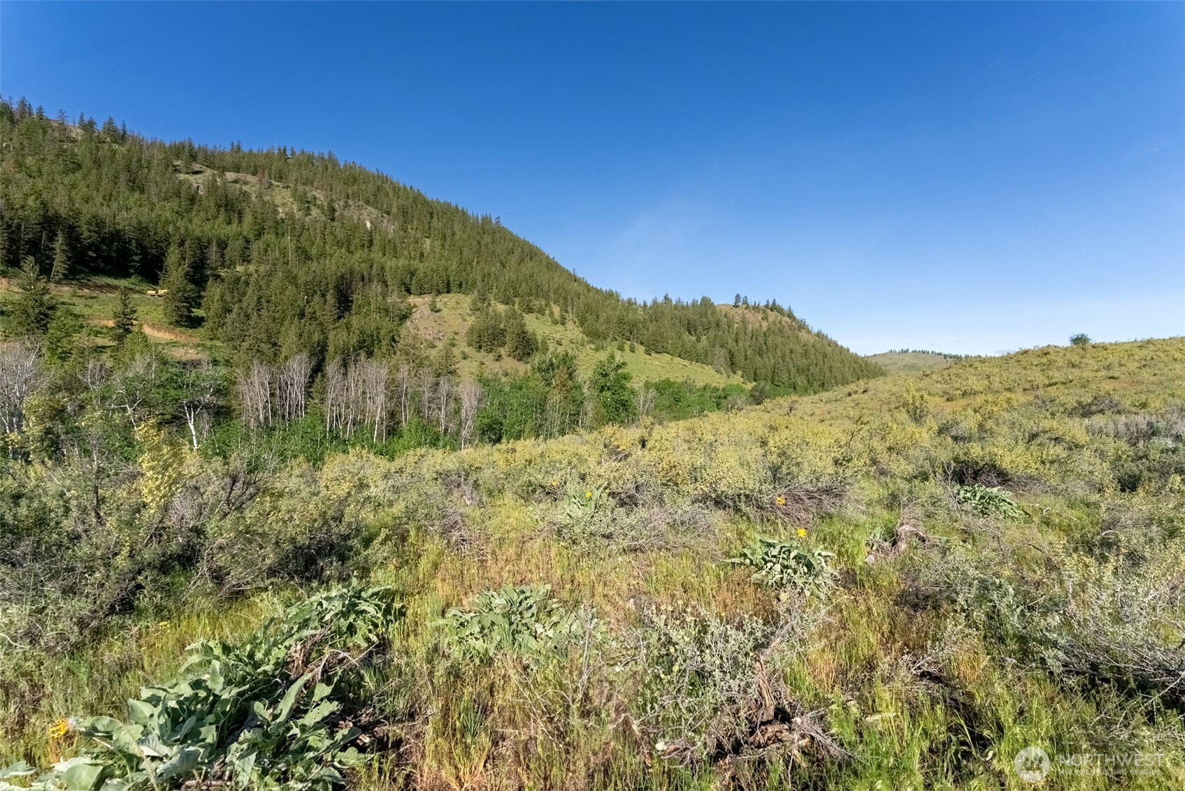-tbd Alder Road Twisp, WA 98856 - Photo 33 of 39