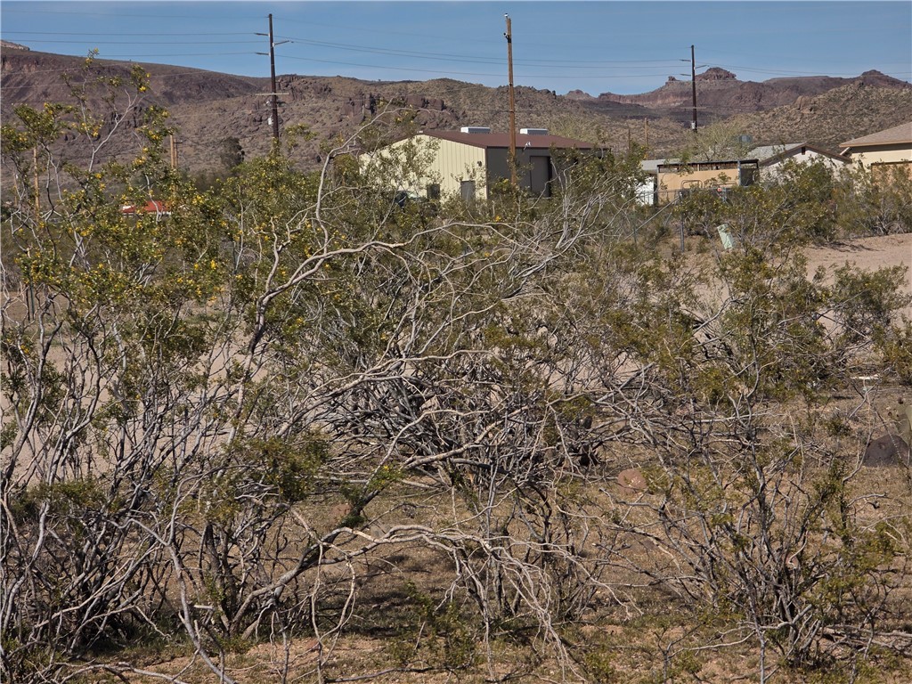 2904 Walnut Creek Road, Unit 2 LOT 5 Golden Valley, AZ 86413 - Photo 5 of 10 The property features desert landscaping with various shrubs and includes views of distant mountains