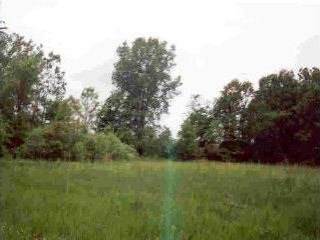 9999 Stewart Road Dundee, MI 48131 - Photo 3 of 3 901238-2.JPG