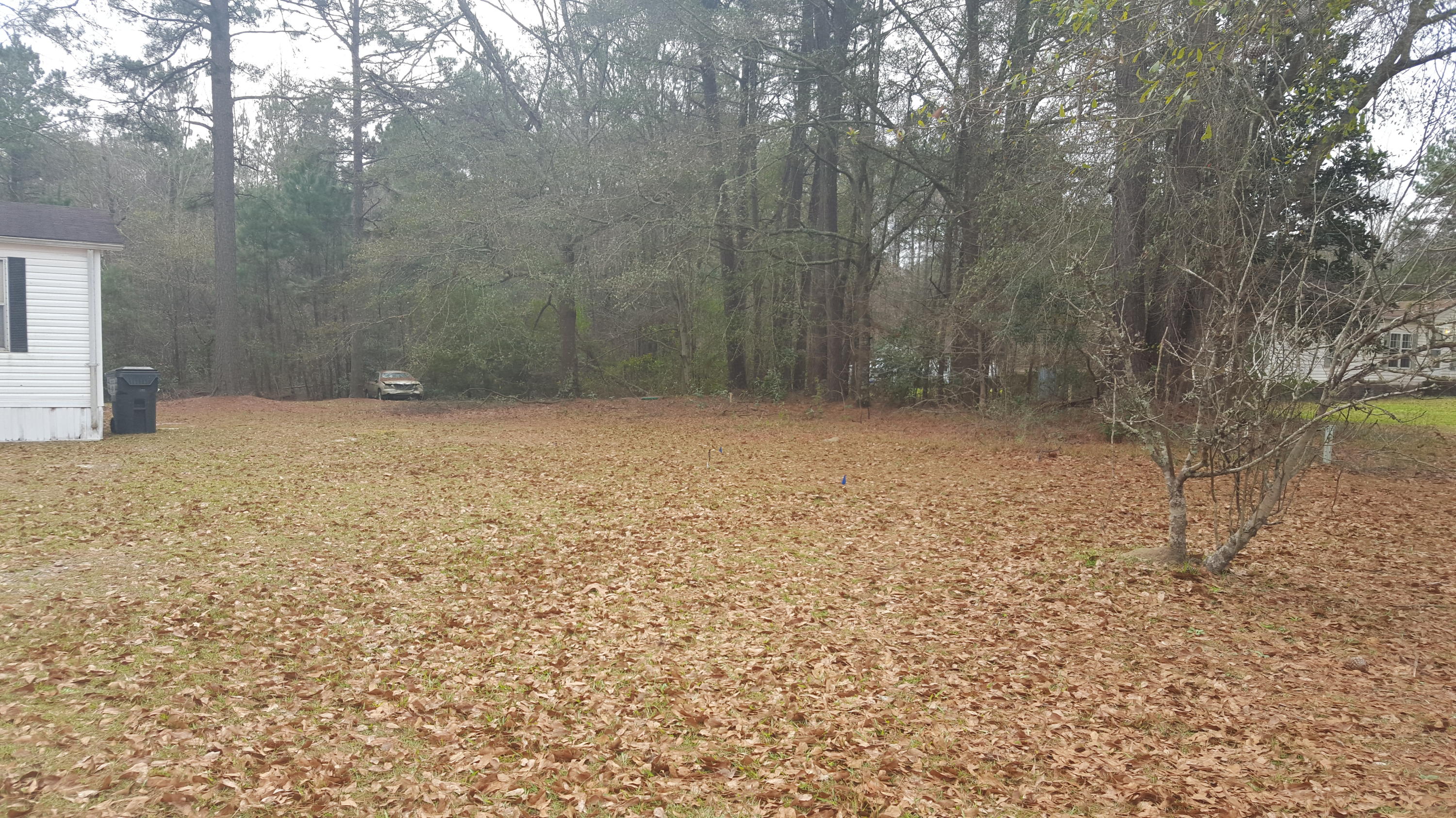 241 Farrell Street Moncks Corner, SC 29461 - Photo 2 of 4 241 farrell 2