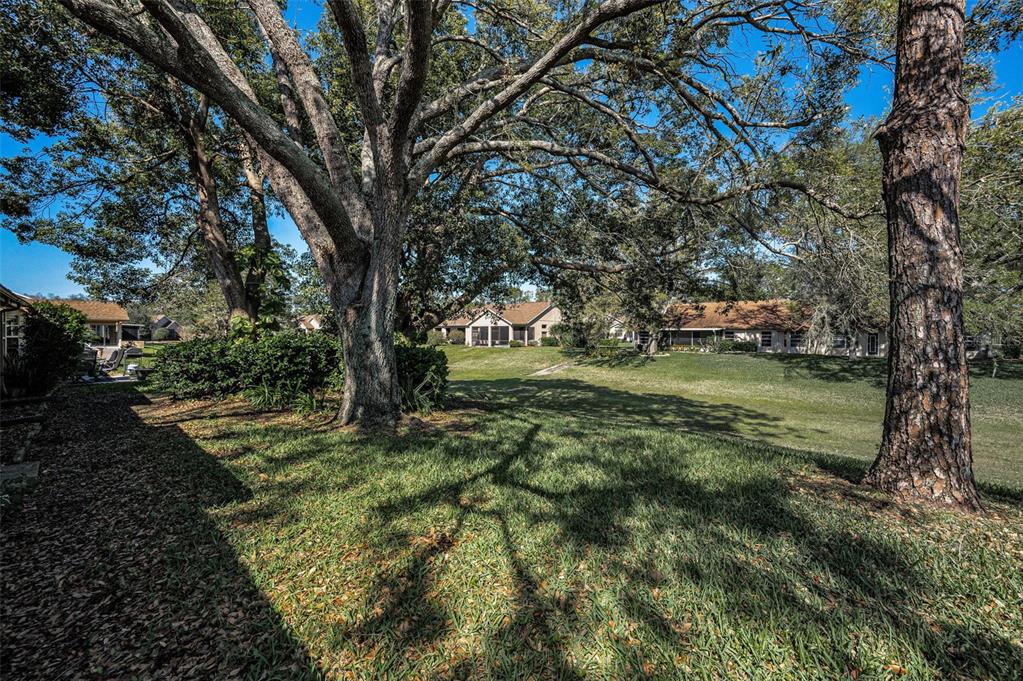 9713 Sweeping View Drive New Port Richey, FL 34655 - Photo 34 of 75 Gallery Image 34
