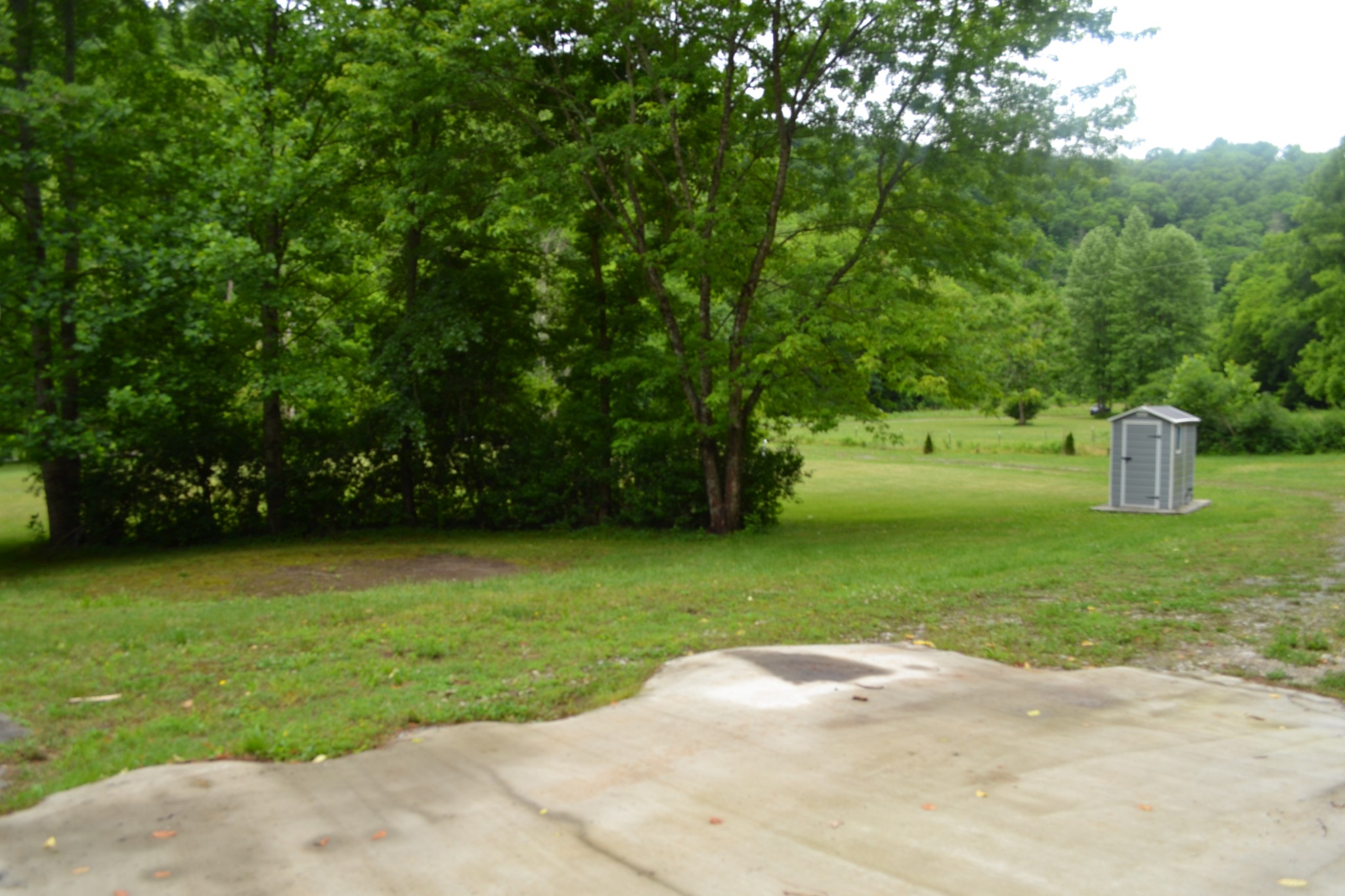 1505 Add Stafford Road Hilham, TN 38568 - Photo 54 of 65 a view of a trees in a park