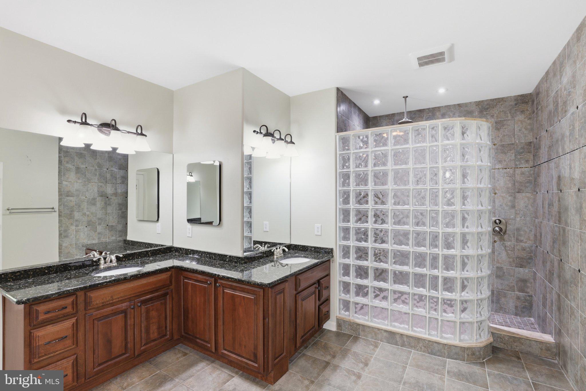 16932 Fitzgeralds Road Lincoln, DE 19960 - Photo 43 of 103 Elegant bathroom with modern finishes.