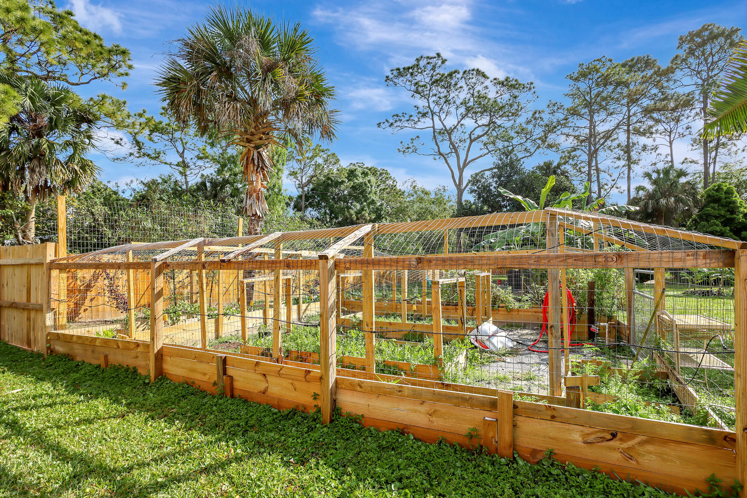 10959 154th Road North Jupiter, FL 33478 - Photo 46 of 58 Garden & chicken coop area