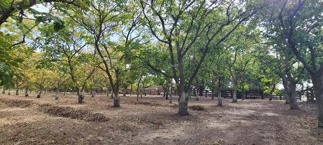 $1,010,000 | 700 Wellsford Road, Modesto, CA 95357