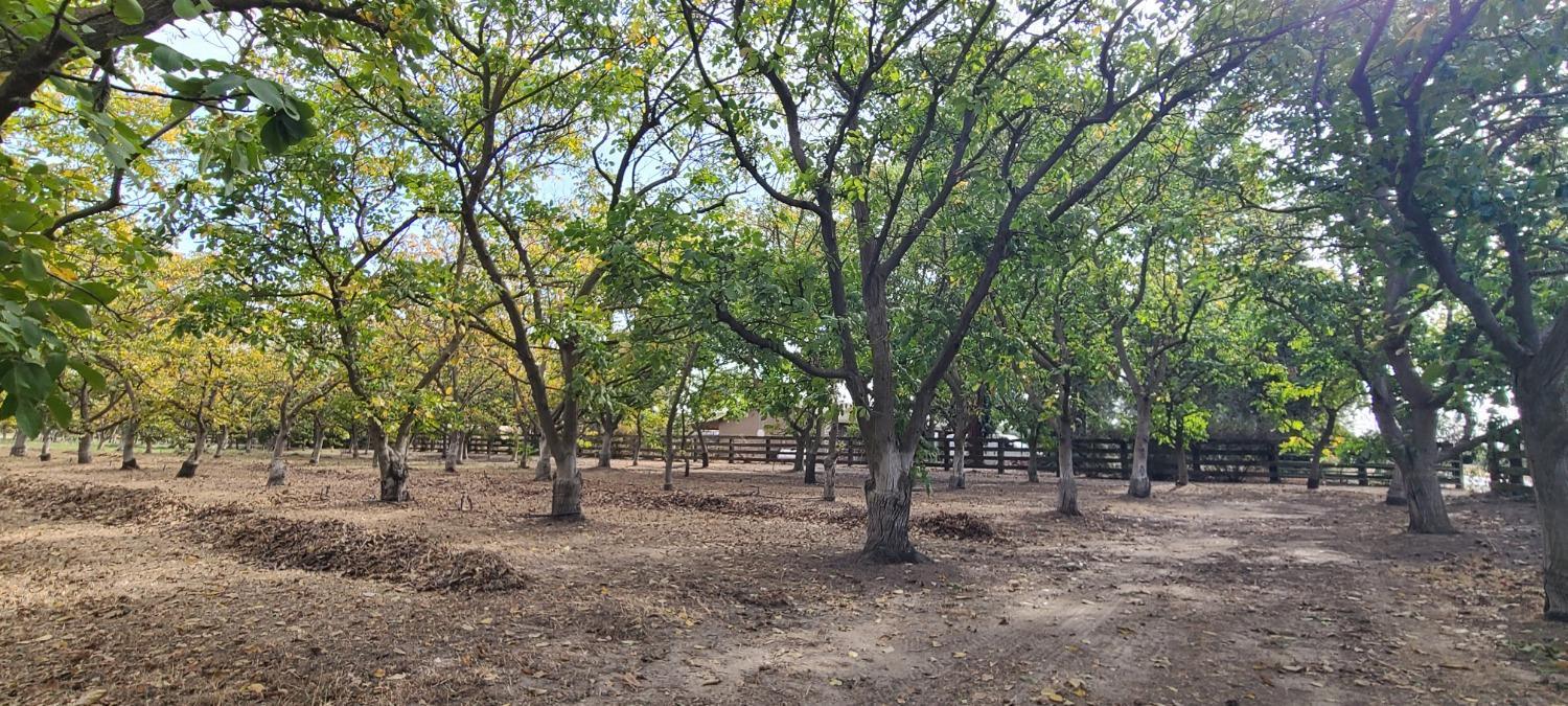 700 Wellsford Road Modesto, CA 95357 - Photo 46 of 47 a view of outdoor space with trees