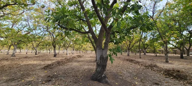 $1,010,000 | 700 Wellsford Road, Modesto, CA 95357