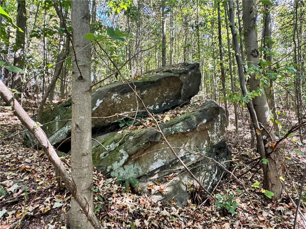 34683 Sunshine Road Piedmont, OH 43983 - Photo 6 of 27 Outcropping