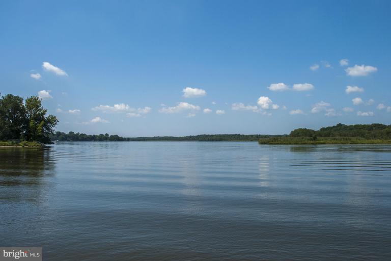 7460 Todds Wharf Road Preston, MD 21655 - Photo 1 of 29 View from water's edge of Choptank River