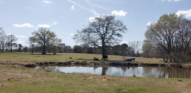 $454,050 | 716 Augusta Road, Edgefield, SC 29824