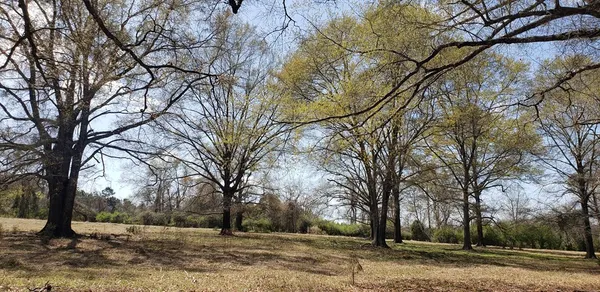 $454,050 | 716 Augusta Road, Edgefield, SC 29824