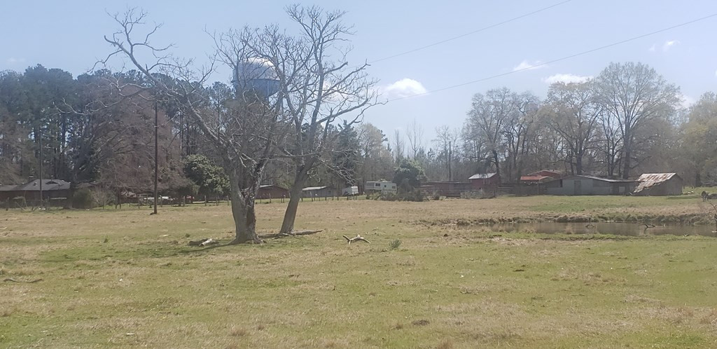 716 Augusta Road Edgefield, SC 29824 - Photo 13 of 27