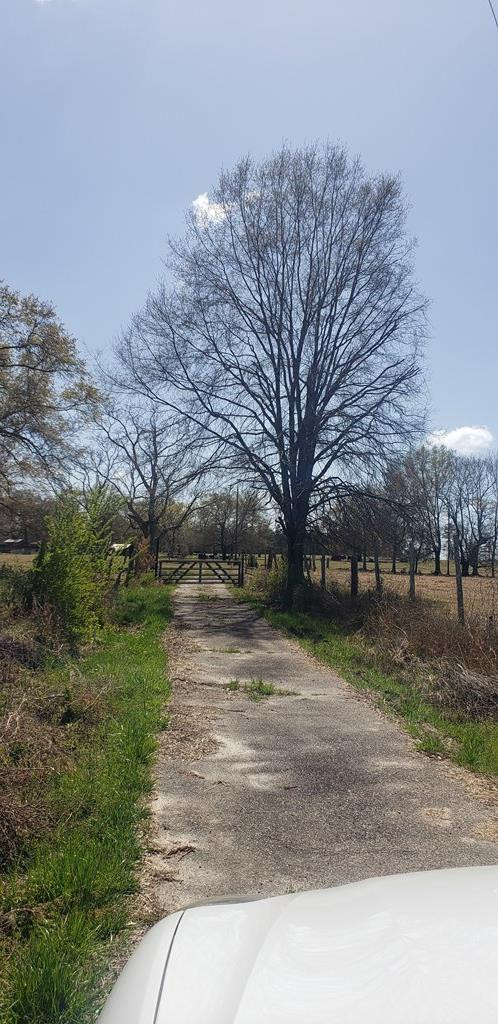 716 Augusta Road Edgefield, SC 29824 - Photo 14 of 27