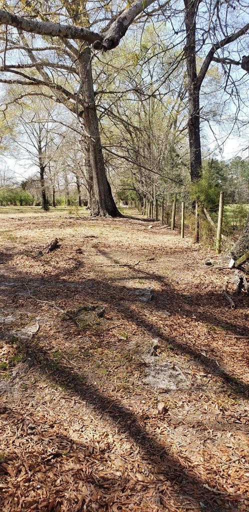 716 Augusta Road Edgefield, SC 29824 - Photo 19 of 27