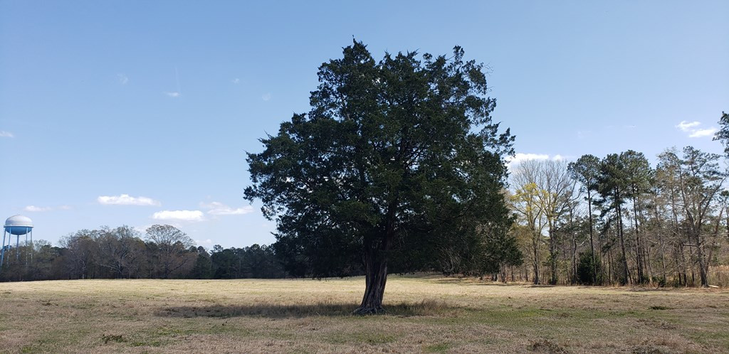 716 Augusta Road Edgefield, SC 29824 - Photo 21 of 27