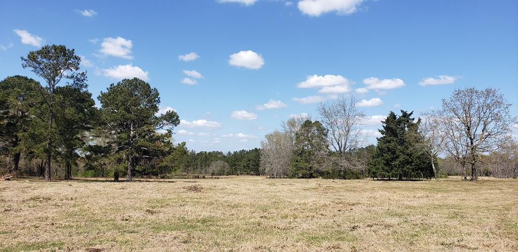 716 Augusta Road Edgefield, SC 29824 - Photo 23 of 27