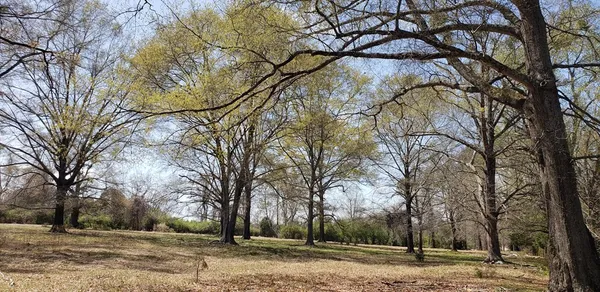 $454,050 | 716 Augusta Road, Edgefield, SC 29824