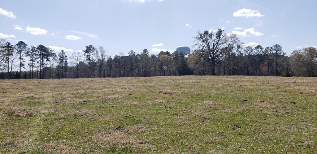 716 Augusta Road Edgefield, SC 29824 - Photo 4 of 27