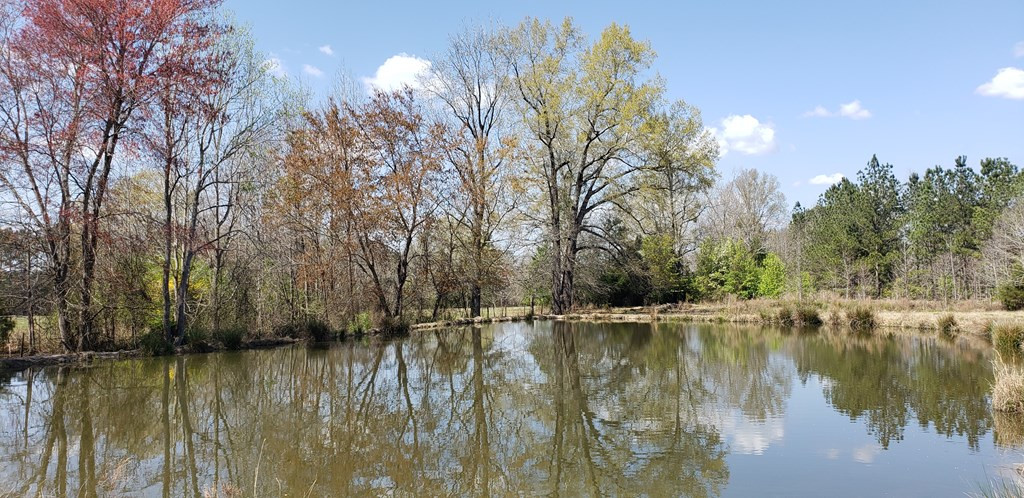 716 Augusta Road Edgefield, SC 29824 - Photo 5 of 27