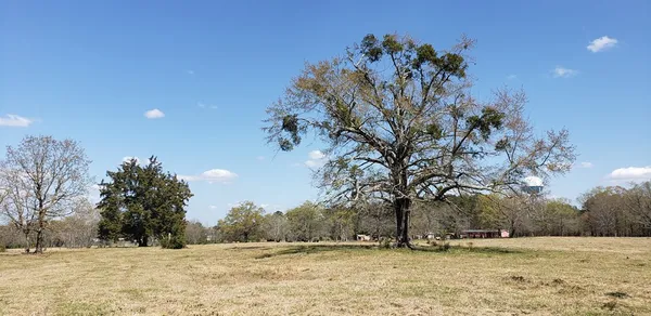 $454,050 | 716 Augusta Road, Edgefield, SC 29824