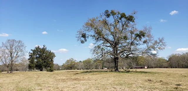 $454,050 | 716 Augusta Road, Edgefield, SC 29824