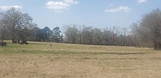 $454,050 | 716 Augusta Road, Edgefield, SC 29824