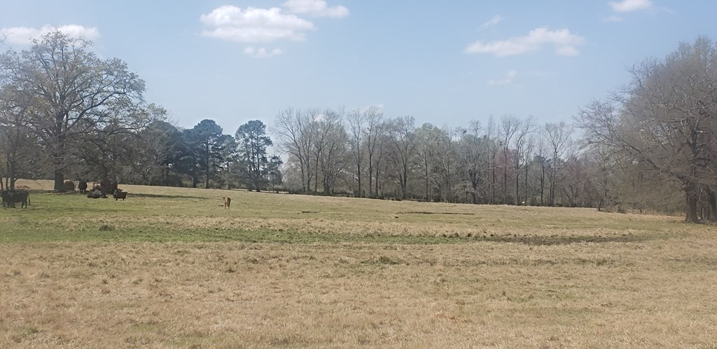 716 Augusta Road Edgefield, SC 29824 - Photo 10 of 27