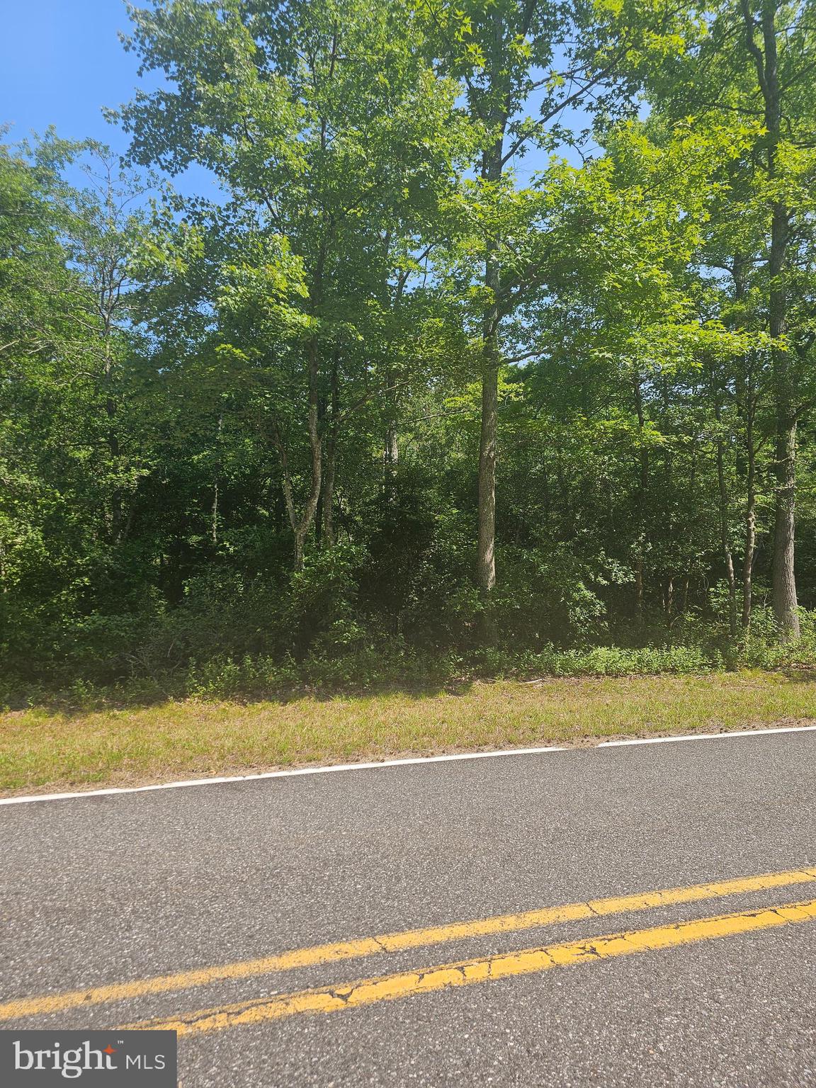 0 Hands Mill Road Delmont, NJ 08314 - Photo 3 of 4 a view of a yard