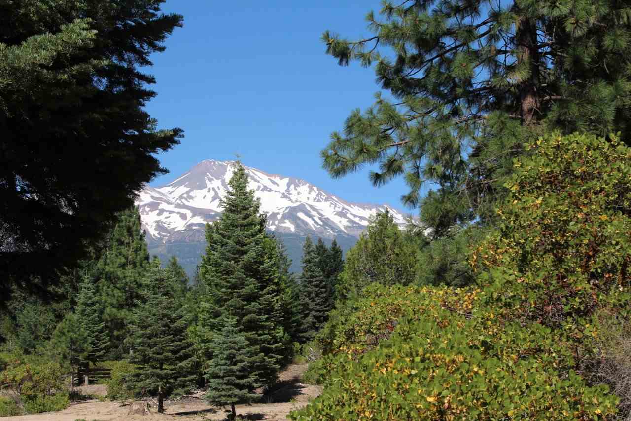 Lot 5 Davis Place Road Mount Shasta, CA 96067 - Photo 8 of 11 Gallery Image 8