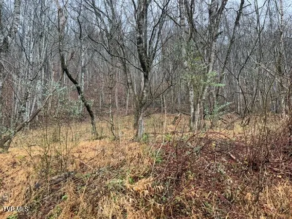 $129,900 | Tbd North Fork River Road, Unit 2C, Abingdon, VA 24210