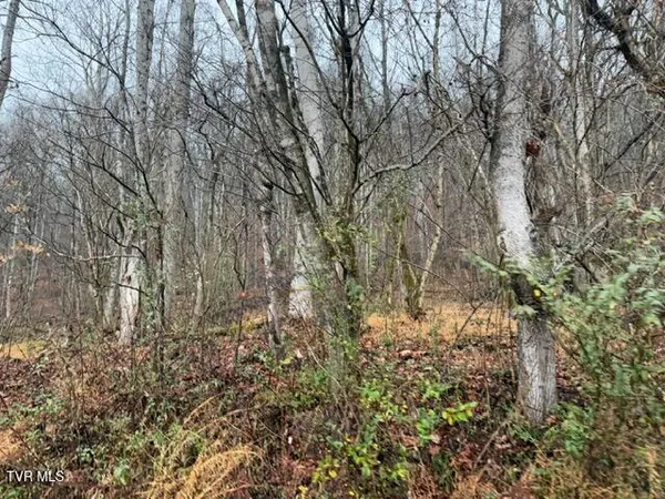 $129,900 | Tbd North Fork River Road, Unit 2C, Abingdon, VA 24210