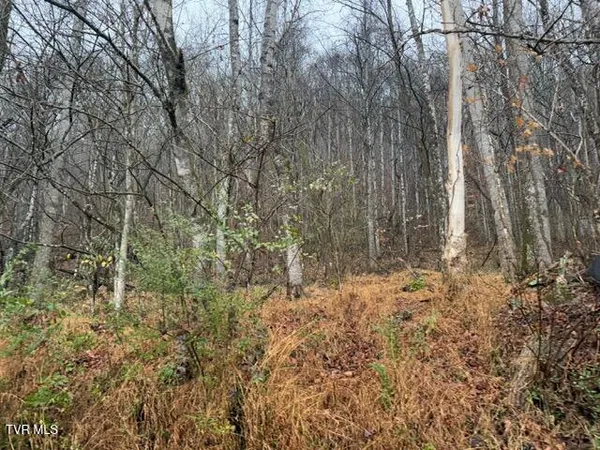 $129,900 | Tbd North Fork River Road, Unit 2C, Abingdon, VA 24210