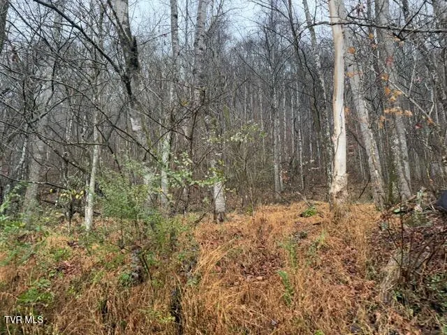 $129,900 | Tbd North Fork River Road, Unit 2C, Abingdon, VA 24210