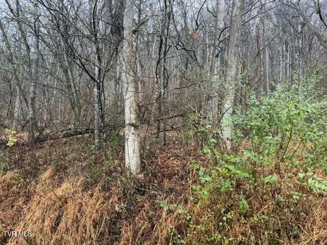 $129,900 | Tbd North Fork River Road, Unit 2C, Abingdon, VA 24210