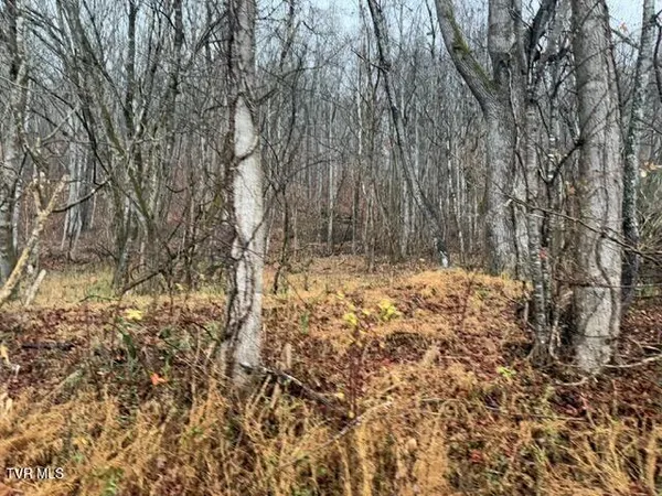 $129,900 | Tbd North Fork River Road, Unit 2C, Abingdon, VA 24210