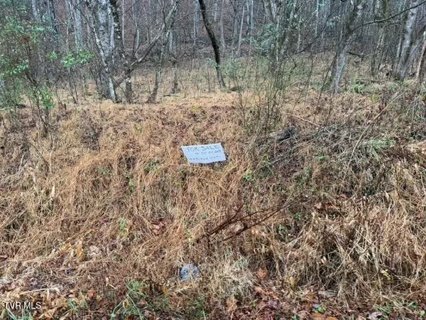 $129,900 | Tbd North Fork River Road, Unit 2C, Abingdon, VA 24210