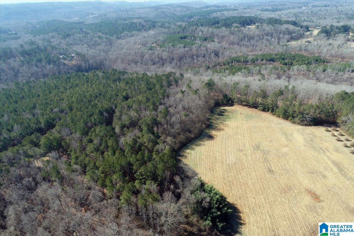 651 Old Hickory Road, Unit 15 ACRES Warrior, AL 35180 - Photo 13 of 13