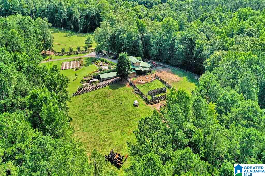 1675 Canoe Creek Road Springville, AL 35146 - Photo 45 of 50